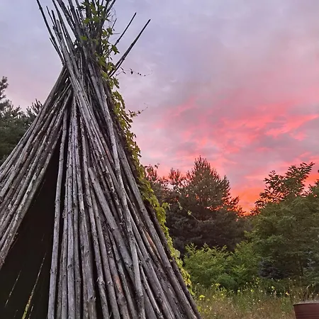 Luxury tent W Pelni Cieksyn